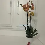 Vsuite Livingchic קליארי