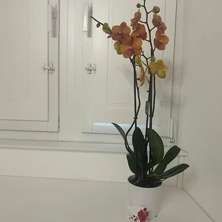 Vsuite Livingchic Κάλιαρι