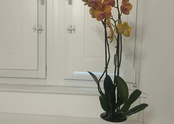 Vsuite Livingchic Cagliari